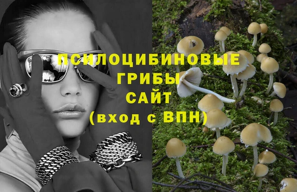 гидра Баксан