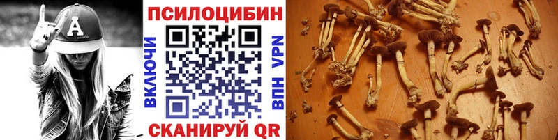 купить закладку  Урус-Мартан  Галлюциногенные грибы прущие грибы 